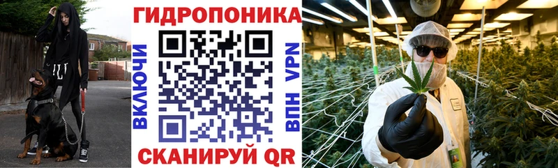 Бошки Шишки Саранск
