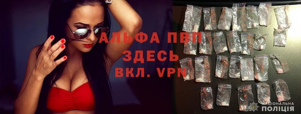 бошки Няндома