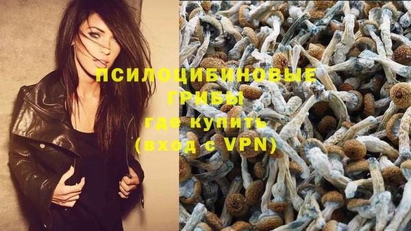 герыч Нягань