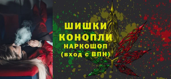 бошки Няндома