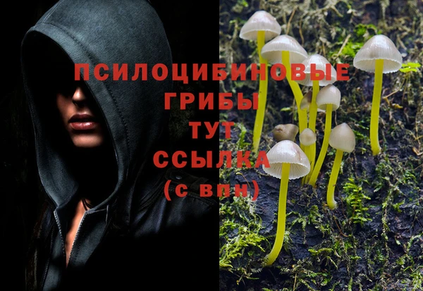 mix Нязепетровск