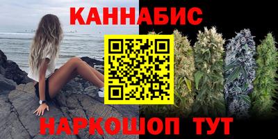 сатива Можайск