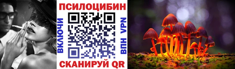 Галлюциногенные грибы Psilocybine cubensis  KRAKEN ССЫЛКА  Саранск  что такое наркотик 