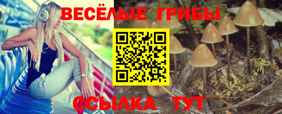 Галлюциногенные грибы прущие грибы Саранск